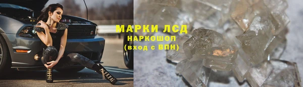 гашик Беломорск