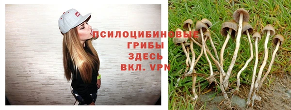 кристаллы Белоозёрский