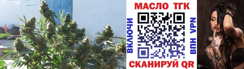 купить наркотики сайты Буйнакск ТГК Wax