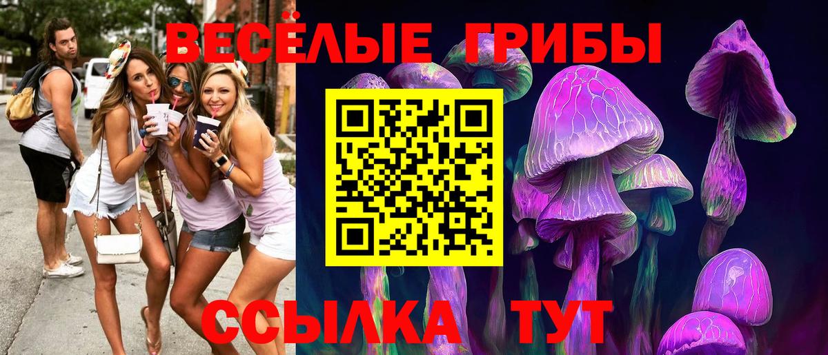 Буйнакск  Псилоцибиновые грибы Psilocybe  Вход с VPN  Псилоцибиновые грибы мицелий 