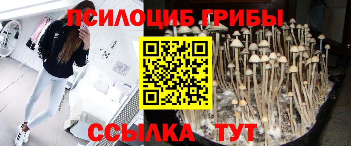 Галлюциногенные грибы GOLDEN TEACHER Буйнакск